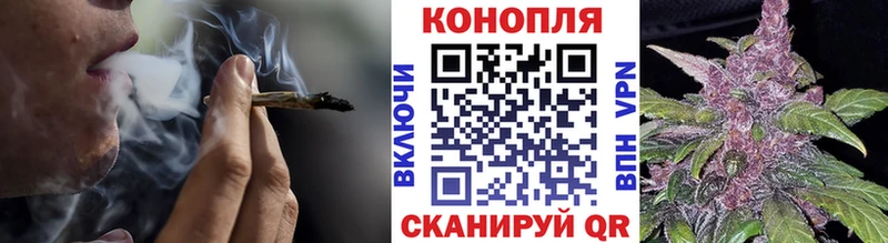 Шишки марихуана MAZAR  Купить  Буйнакск 